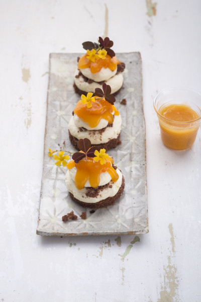 Symphonie von Aprikosen und Mascarpone