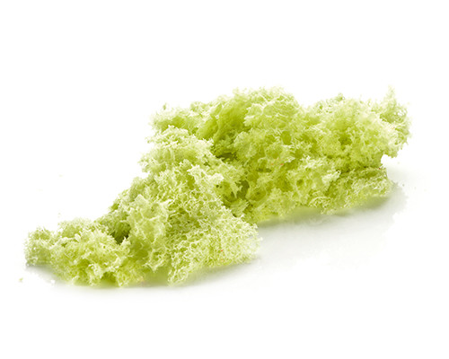 Micro-Biskuit grün