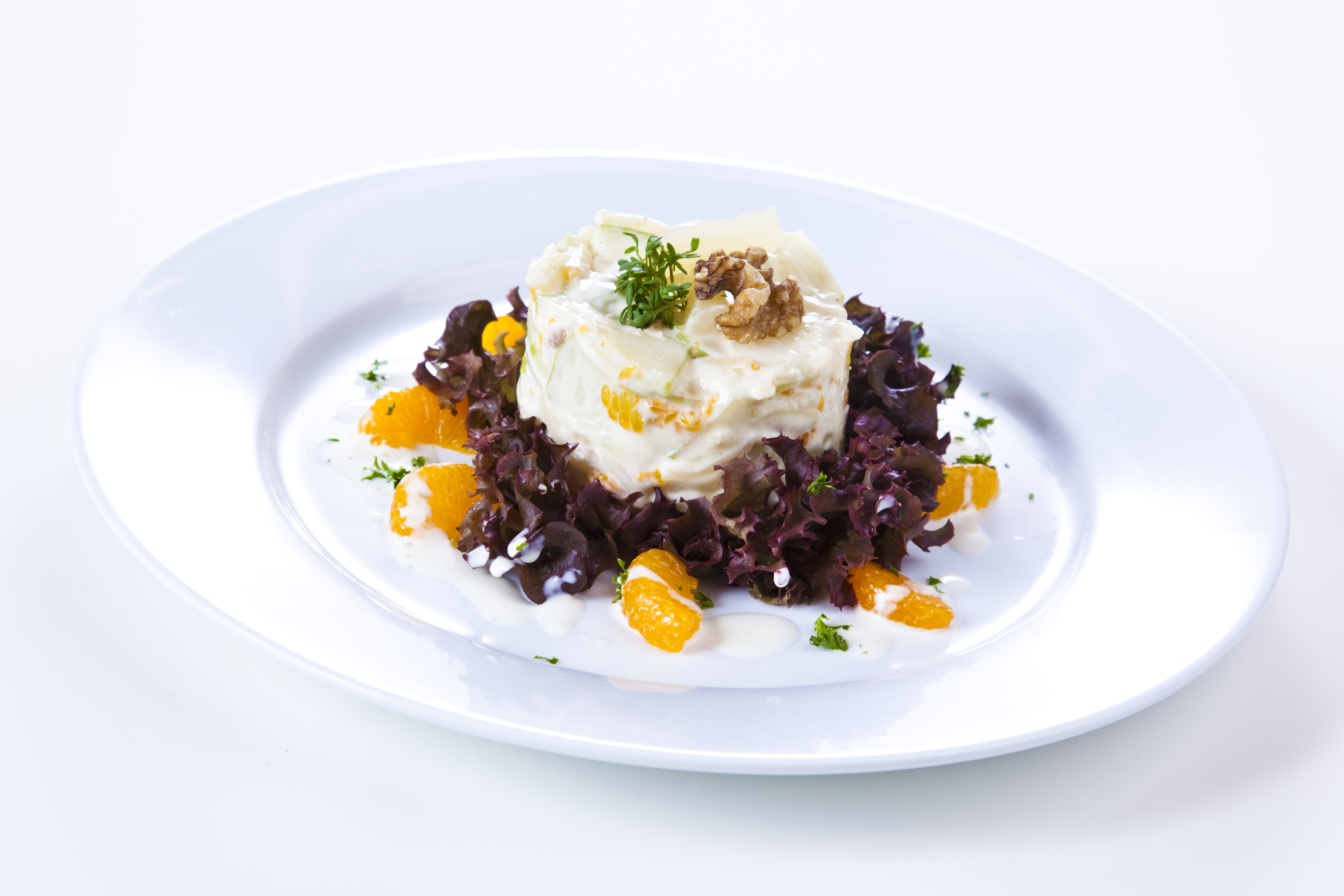 Apfel-Sellerie Salat 3kg | Gastrofair