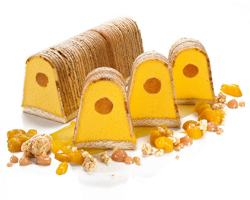 Mango-Papaya-Mousse