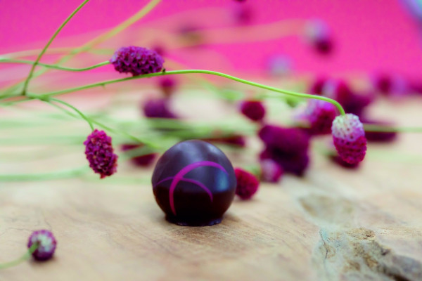 Granatapfel-Trüffel